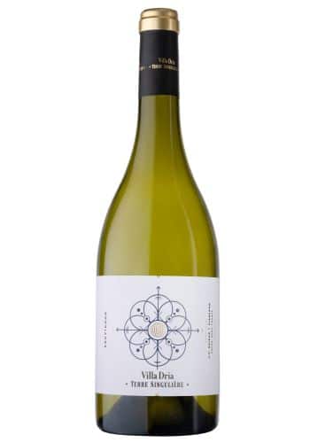 Terre Singulière Sauvignon 